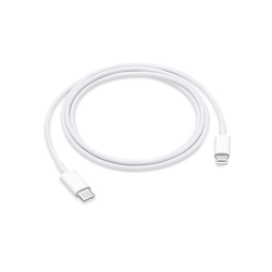 Apple Lightning to USB Cable (0.5M)