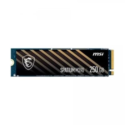 MSI SPATIUM M390 NVMe M.2 250GB SSD