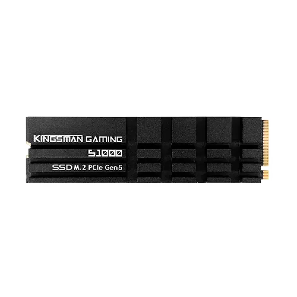 AITC KINGSMAN S1000 2TB M.2 2280 PCIe Gen5x4 NVMe 2.0 SSD With DRAM & Heatshink